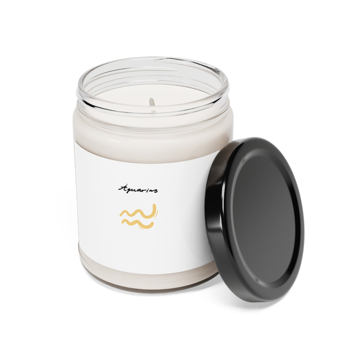 Scented Aquarius Soy Candle, 9oz